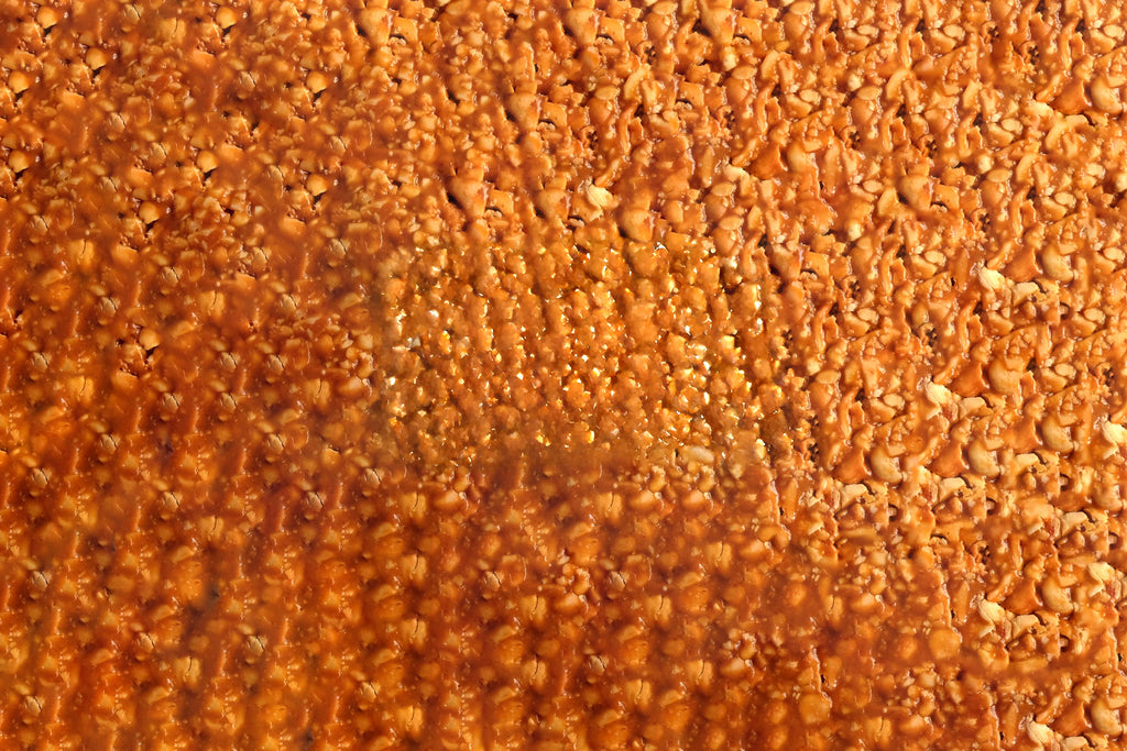 Close-up of a textured brown surface