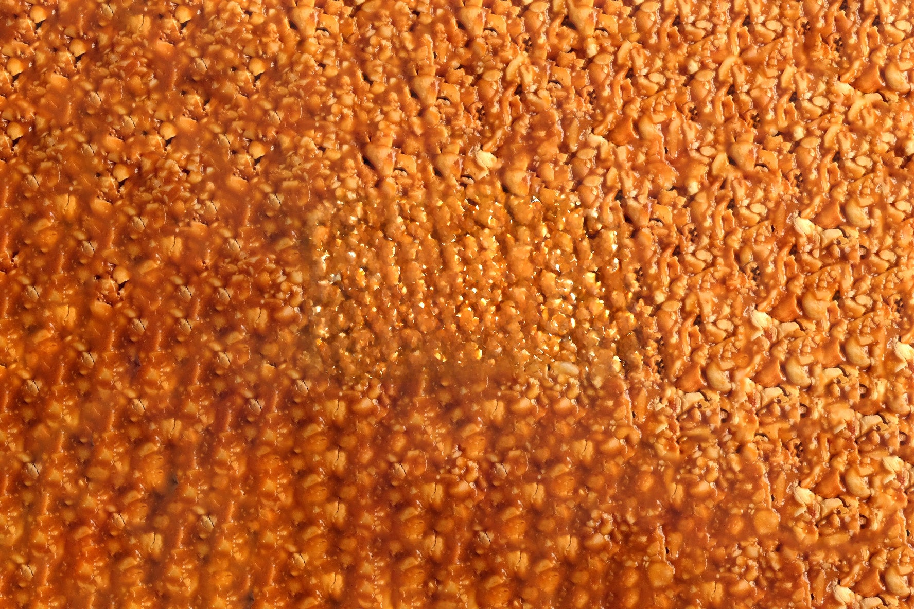 Close-up of a textured brown surface