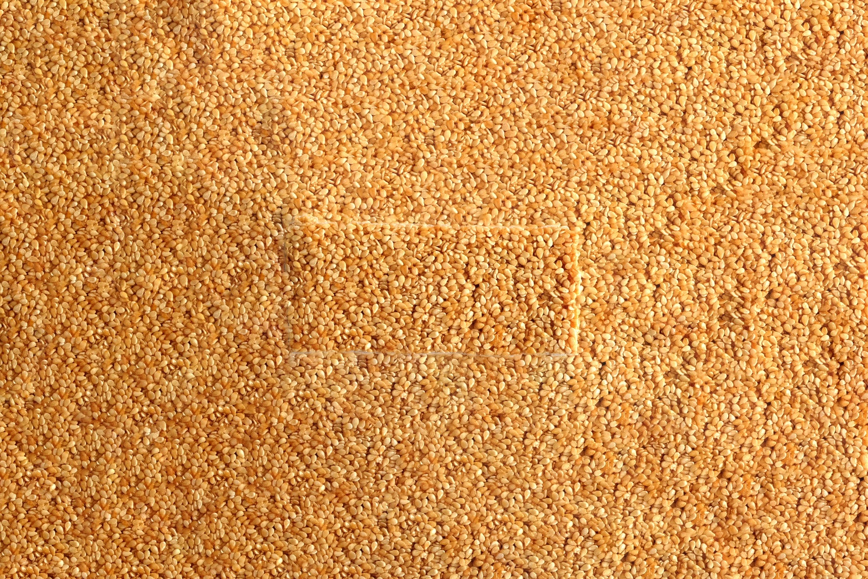 The Mighty 2 Ingredient Bar – Roasted Sesame and Grape Molasses