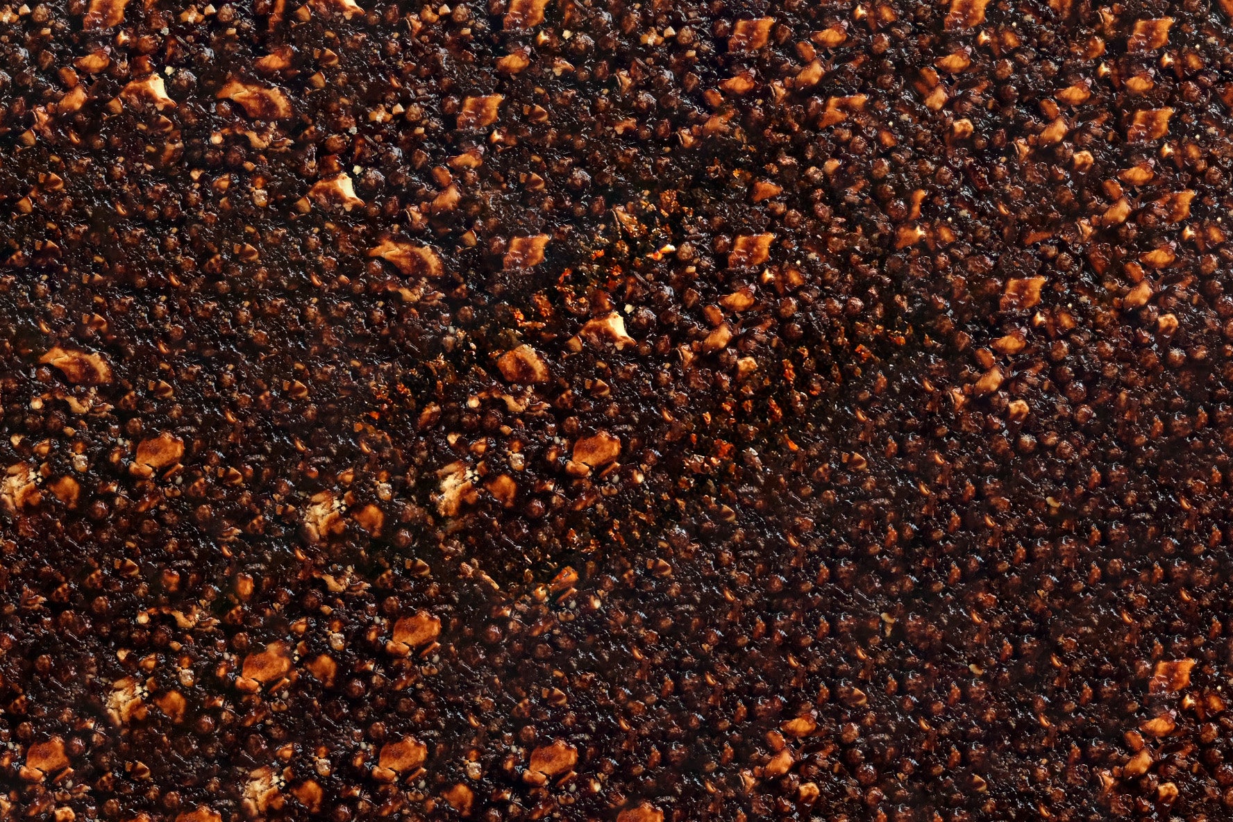 Grapeful Cashew Crispy Bar – Chocolate