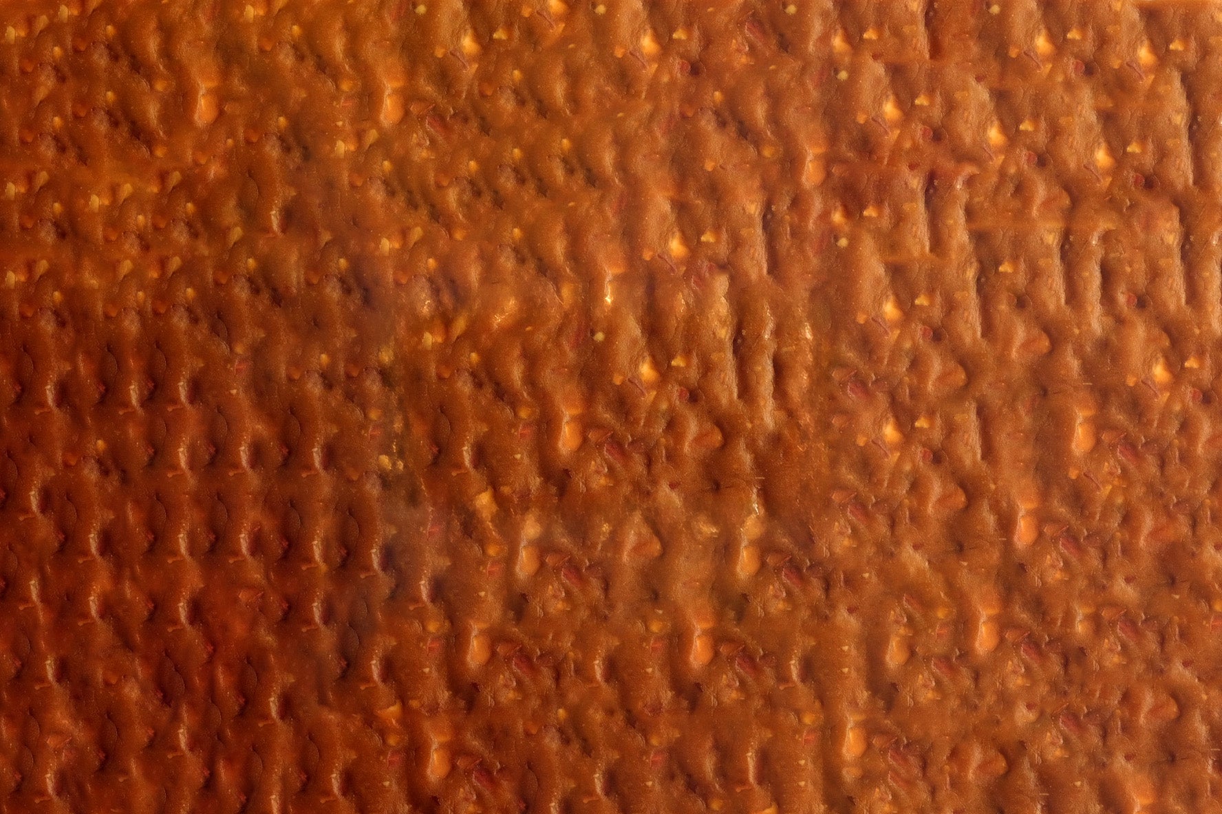 Close-up of a textured brown surface