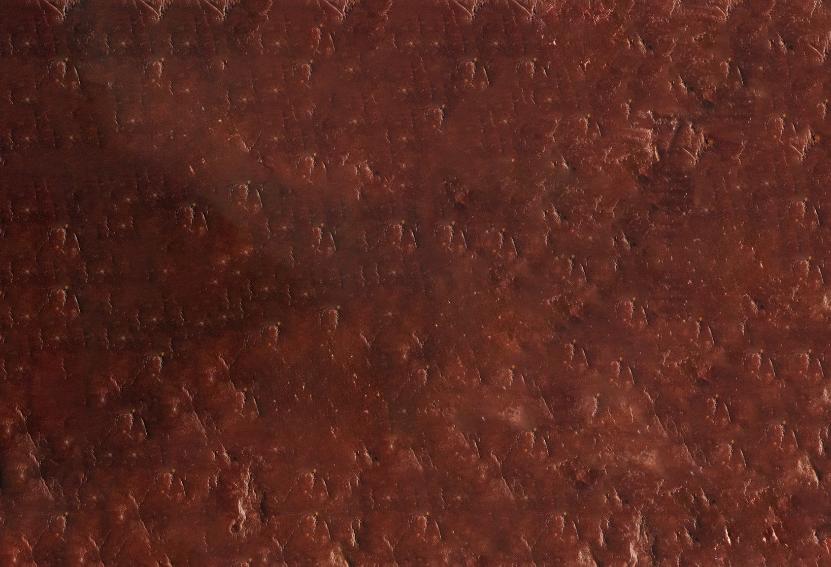 Grapeful Original Protein Bar – Chocolate Hazelnut