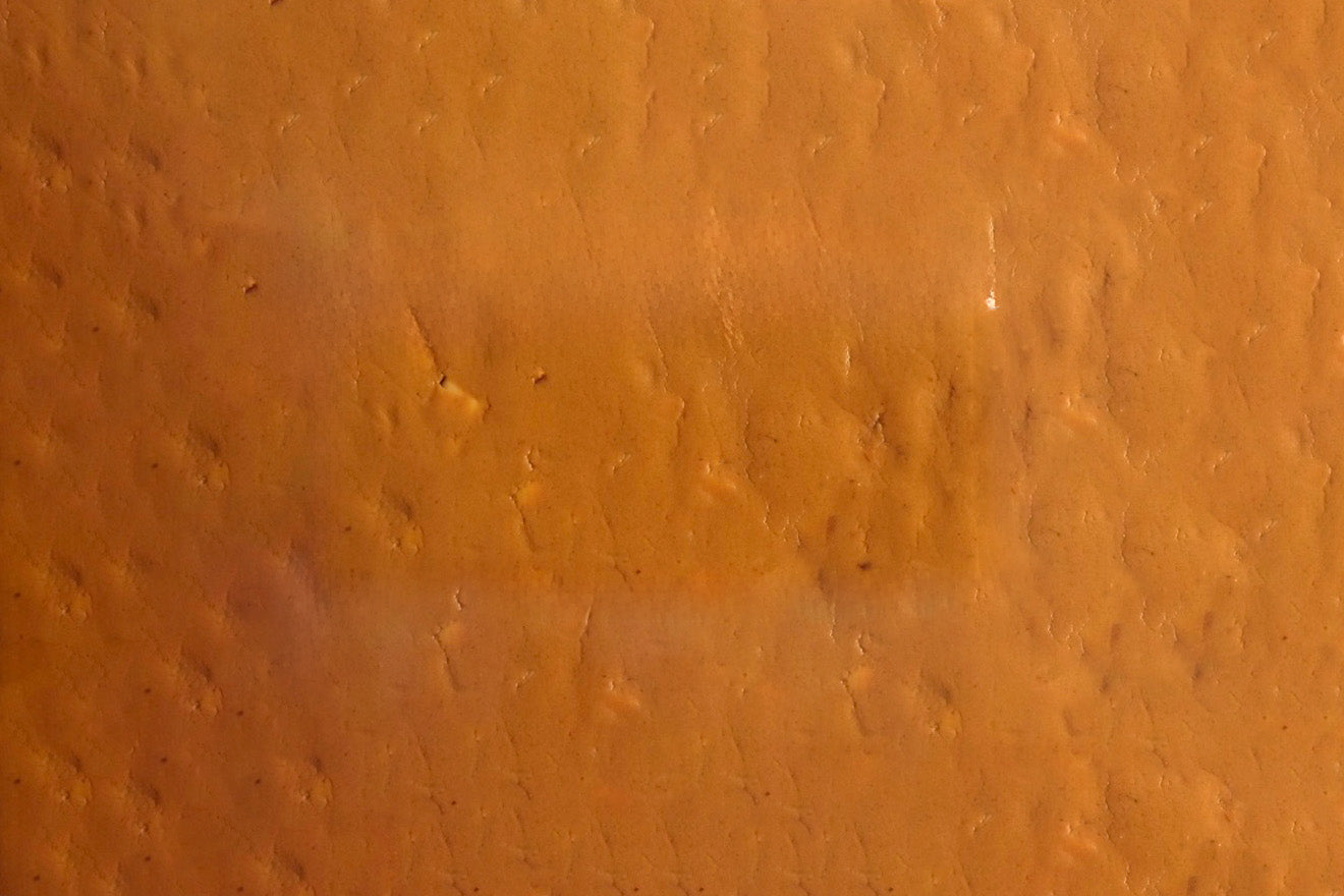 Grapeful Original Protein Bar – Peanut Butter