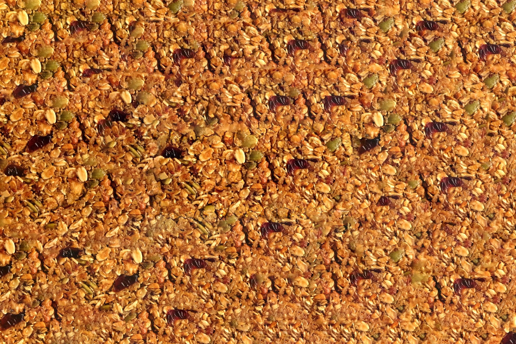 Grapeful Nutty Oat Bar - Cranberry Almond